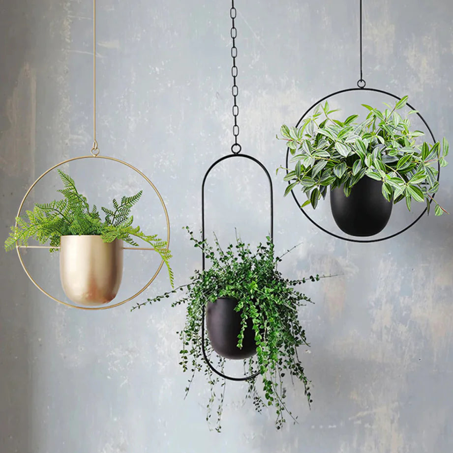 Elegance Elevate Planters