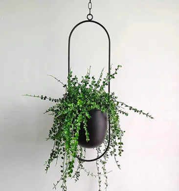 Elegance Elevate Planters