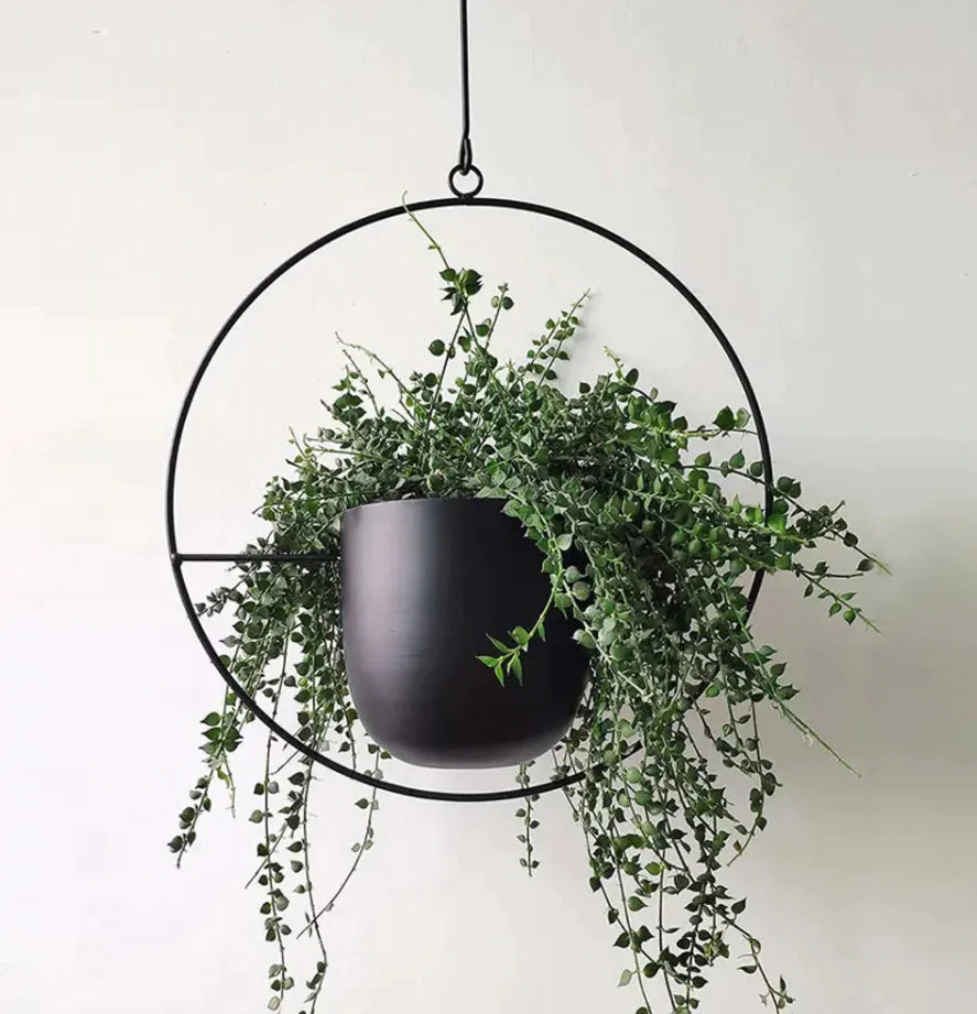 Elegance Elevate Planters